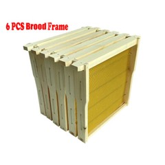 Auto Shed Full Set 10 X Beehive Honey Hive Frame +Mini Beekeeping Brood Box