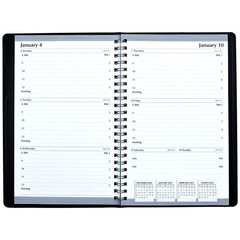 2025 278-02 HOD27802 House of Doolittle Weekly Appointment Planner, 5 x 8″