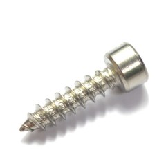 M2 M2.6 M3 M4 M5 M6 304 Stainless Steel Hex Socket Cap Head Self tapping Screws