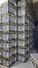 6 Mil Advance Black Nitrile Exam Gloves Powder Latex Free Case 1000 PCS XXL
