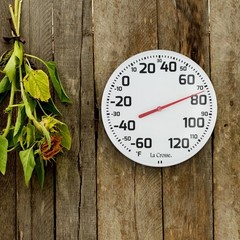 Precision 8-Inch Indoor/Outdoor Analog Thermometer – Maintenance-Free Design