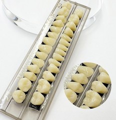 56 Pcs False Teeth Fake Teeth 2 Sets Synthetic Resin Dental Tooth, Upper Lowe…