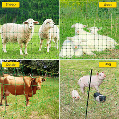 Electric Fence Netting Kit, 164′ x 35.4″ for Livestock with 14 Posts