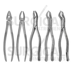 Set of 10 Extracting Forceps Dental Extraction Instruments German Grade