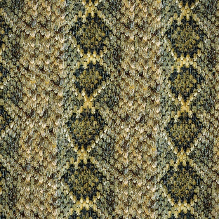 Western Diamondback Rattler Scales – 16″ x 48″ Hydrographic Film Hydro Dipping