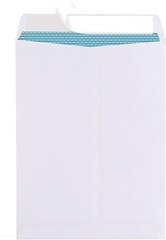100 Count 9×12 Security Tinted Catalog Envelopes – Reliable Mailing Solution