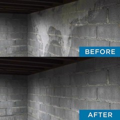 Drylok 01908 Indoor and Outdoor Flat Clear Concrete Water Cleaner 12 oz.
