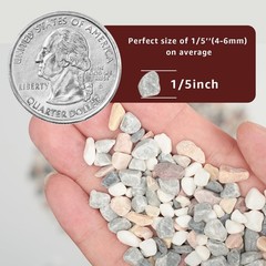 5lbs Natural Gravel Pebbles Succulents Cacti 1/5 Inch Decorative River Stones