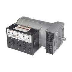 NorthStar Belt-Driven Generator Head, 10,000 Surge Watts, 9600 Rated Watts, 18