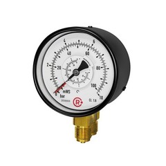 Riegler 1205-R, Differential Pressure Gauge, 2 x G1/2, 0 – 6.0bar, Ø100, 199335