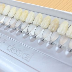 Dental VITA Toothguide 3D Master with Bleached Shade Guide 29 Colors 16 Colors