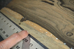 Ziricote Wood Veneer Sheet 7.5 x 45 inches 1/42nd 5944-25