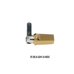 US Titanium Straight Abutment Hex For Hiossen ET Osstem TS Mini Regular Platform