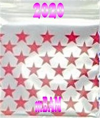 200 GREEN BLUE PINK STARS LOT Apple Zip Baggies Silver Metallic 2020 2010+
