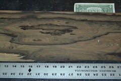 Ziricote Wood Veneer Sheet 7.5 x 45 inches 1/42nd 5944-25