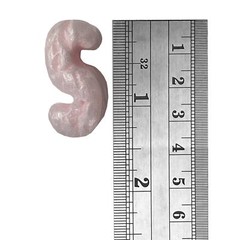 UOFFICE Anti Static Packing Peanuts – 3.5 cuft. Industrial Shipping Void Fill