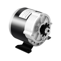 24V 350W Electric Vehicle Geared Motor with Copper Coils and Low Noise