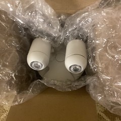 Dual-Lite HUBBELL LIGHTING – DUAL-LITE LED Lamps, Remote Head EVODW