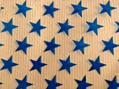 700 SMALL BAGGIES 2″ x 2″ 2020 MINI RESEALABLE POLY DESIGNER BAGS BLUE STAR