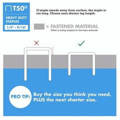 Arrow 3/8-inch Galvanized Steel T50 Staples, Divergent Point, 1,250-Count