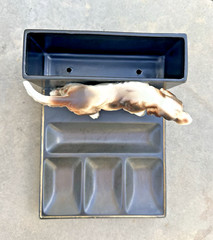 VTG Mid-Century Porcelain English Setter/Pointer Hunting Dog Dresser Valet Japan