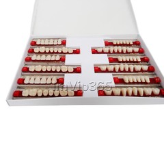 Acrylic Synthetic Resin Denture Teeth Vita Color Shade A2/A3 Upper Lower -84Pcs