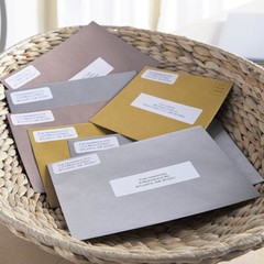 4″x2″ 750 Address Labels Direct Thermal for Zebra LP 2844 GX420T Eltron ZP450