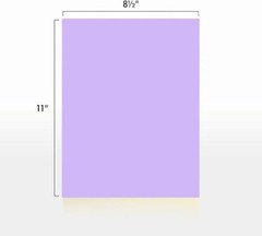 Colored Copy Printing And Writing Paper, 20 pound 75 GSM 8.5″ X 11″, Letter S…