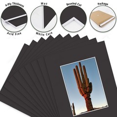 Golden State Art, Pack of 10, 8×10 Classic Black Picture Mats with White Core…