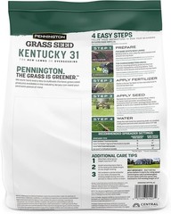 Pennington Kentucky 31 Tall Fescue Penkoted Grass Seed 3 lb 3 LB, Green