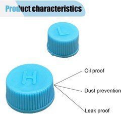 Luxury Leakproof A/C Valve Core Caps – R134a System, 2PCS for Passenger Cars