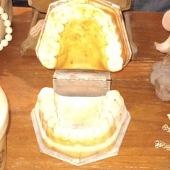Typodont Dental Teeth Jaw Teaching Training Model for Dentistry & Lab