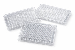 96 Well Plate TC Treated Flat Bottom Cell Culture w/ Lid – 50 /Case Corning 3596