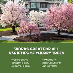 Cherry Tree Fertilizer Liquid Plant Food More Blossoms Better Fruit Set