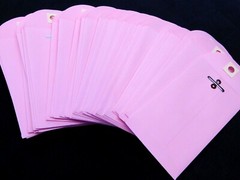 #5-1/2 Business Coin Metal Clasp Envelopes (3-1/8″ x 5-1/2″) – 32lb. Pink (GI)
