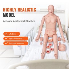 Uimoso Male/Female Manikin Model Anatomical Nursing Training Patient Care Teach