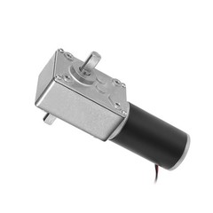 Double Shaft Worm Gear Motor DC 24V,65RPM/High Torque Speed Reduction Motor