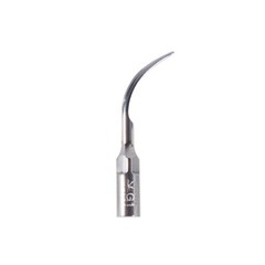 10× Dental Ultrasonic Perio Scaler Tips Scaling G1 Fit EMS Woodpecker Handpiece