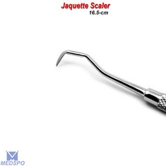 Dental Tooth Cleaning Hygienic Scraper Pick Calculus Plaque Remover Dentist Tool