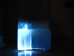 Luminol 5g ultrapure 99,9% ( Blood trace detection, luminescence dye)