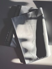 25 Poly Mailers 12” x 15” Self Seal Shipping Bags FREE SHIPPING Big Sturdy Bags!