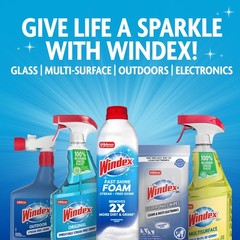 Windex Wipes Glass Cleaning Ammonia Free, Pre-Moistened 25 Count (Pack of 1)