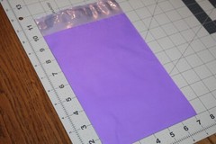 100 6×9 Candy Christmas HOLIDAY Poly Mailer Envelope Envelopes Bag Bags 6″ x 9″