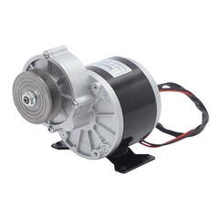 Brushed Motor Gear Reduction Electric Motor Gear Motor w/ Belt Pulley 24VDC 250W