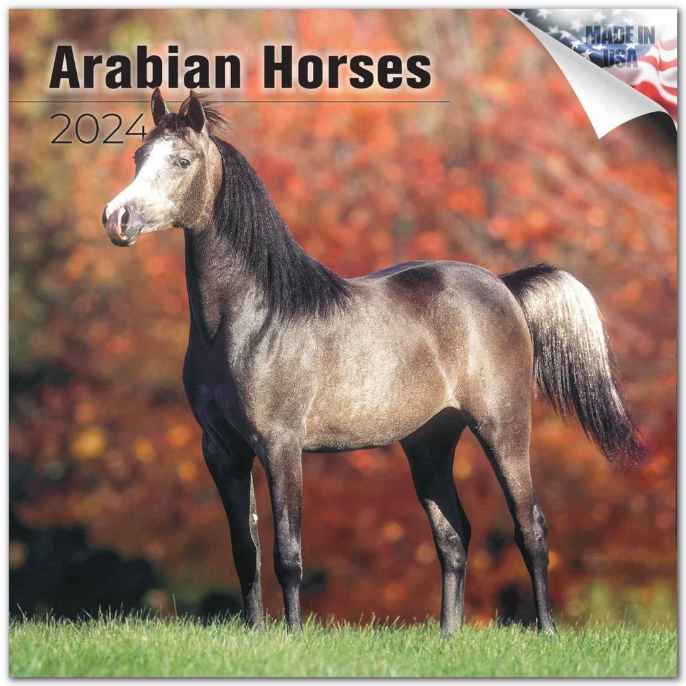 Arabian Horses Calendar 2024 FULL SIZE 12×24 Made in USA