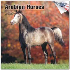 Arabian Horses Calendar 2024 FULL SIZE 12×24 Made in USA