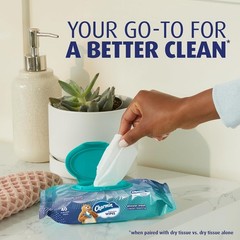 FLUSHABLE SOFT CLEANSING WIPES Bathroom Gentle Clean Personal Hygiene Use 4 Pack