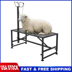 500LBS Livestock Stand Goat Trimming Stand, 47″x23″ Tabletop Goat Milking Stand
