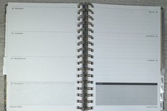 2026 Spiral Weekly Monthly Planner 12 Month PUNCH STUDIO Paperback GREEN 6.5 X 9
