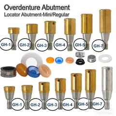 Dental Ti Abutment Healing Straight ZEST Locator Osstem Hiossen ET Lab Analog